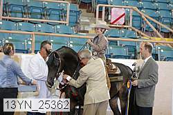 13yn_25362 thumbnail