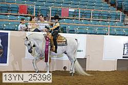 13yn_25398 thumbnail