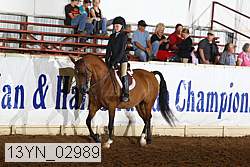 13yn_02989 thumbnail