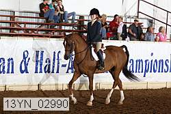 13yn_02990 thumbnail