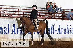 13yn_02991 thumbnail