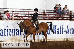 13yn_02993 thumbnail