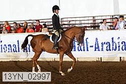 13yn_02997 thumbnail