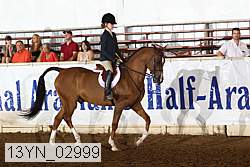 13yn_02999 thumbnail