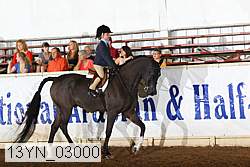 13yn_03000 thumbnail
