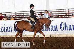 13yn_03001 thumbnail