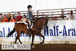 13yn_03002 thumbnail