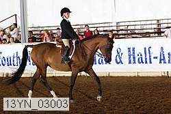 13yn_03003 thumbnail