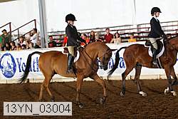 13yn_03004 thumbnail