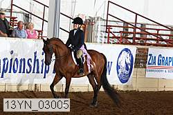 13yn_03005 thumbnail