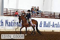 13yn_03006 thumbnail