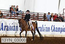 13yn_03008 thumbnail