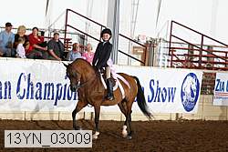 13yn_03009 thumbnail