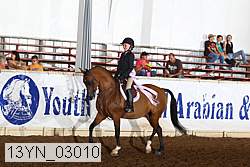 13yn_03010 thumbnail