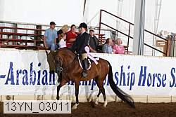 13yn_03011 thumbnail