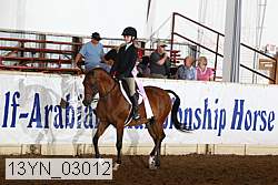 13yn_03012 thumbnail