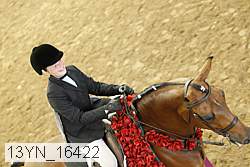 13yn_16422 thumbnail