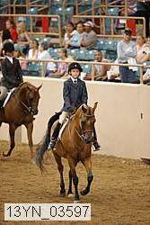 13yn_03597 thumbnail