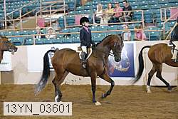 13yn_03601 thumbnail