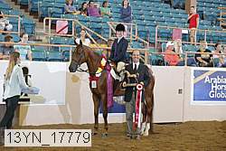 13yn_17779 thumbnail