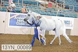13yn_00089 thumbnail