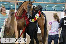 13yn_05510 thumbnail