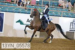 13yn_05578 thumbnail
