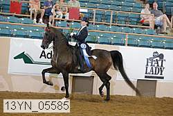13yn_05585 thumbnail