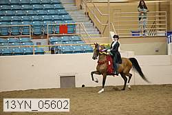 13yn_05602 thumbnail