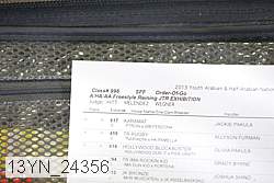 13yn_24356 thumbnail