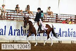13yn_12045 thumbnail