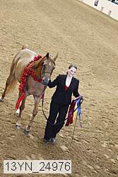 13yn_24976 thumbnail
