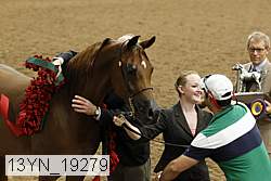 13yn_19279 thumbnail