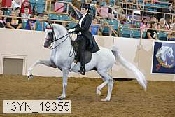 13yn_19355 thumbnail