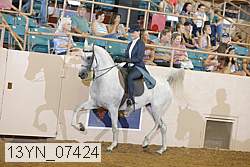 13yn_07424 thumbnail