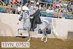 13yn_07521 thumbnail