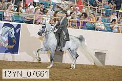 13yn_07661 thumbnail