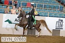 13yn_07683 thumbnail