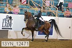 13yn_12471 thumbnail