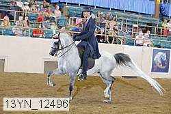 13yn_12496 thumbnail