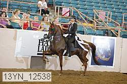 13yn_12538 thumbnail
