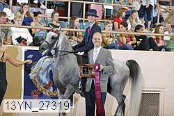 13yn_27319 thumbnail