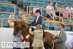 13yn_27331 thumbnail