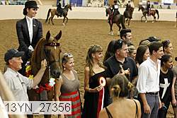 13yn_27356 thumbnail