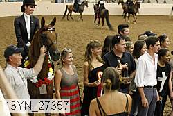 13yn_27357 thumbnail