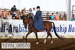13yn_06570 thumbnail