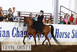 13yn_06571 thumbnail