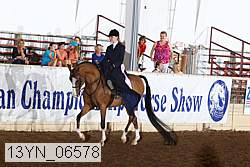 13yn_06578 thumbnail