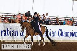 13yn_06579 thumbnail
