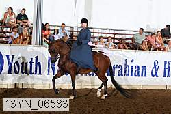 13yn_06583 thumbnail
